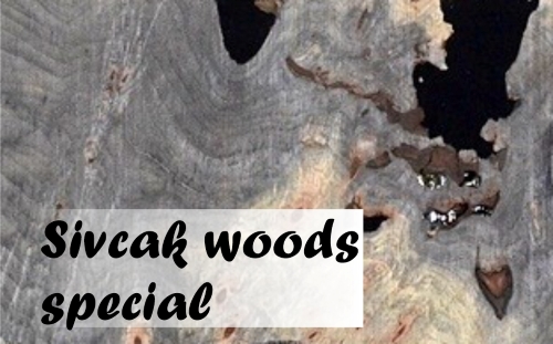 WOOD special